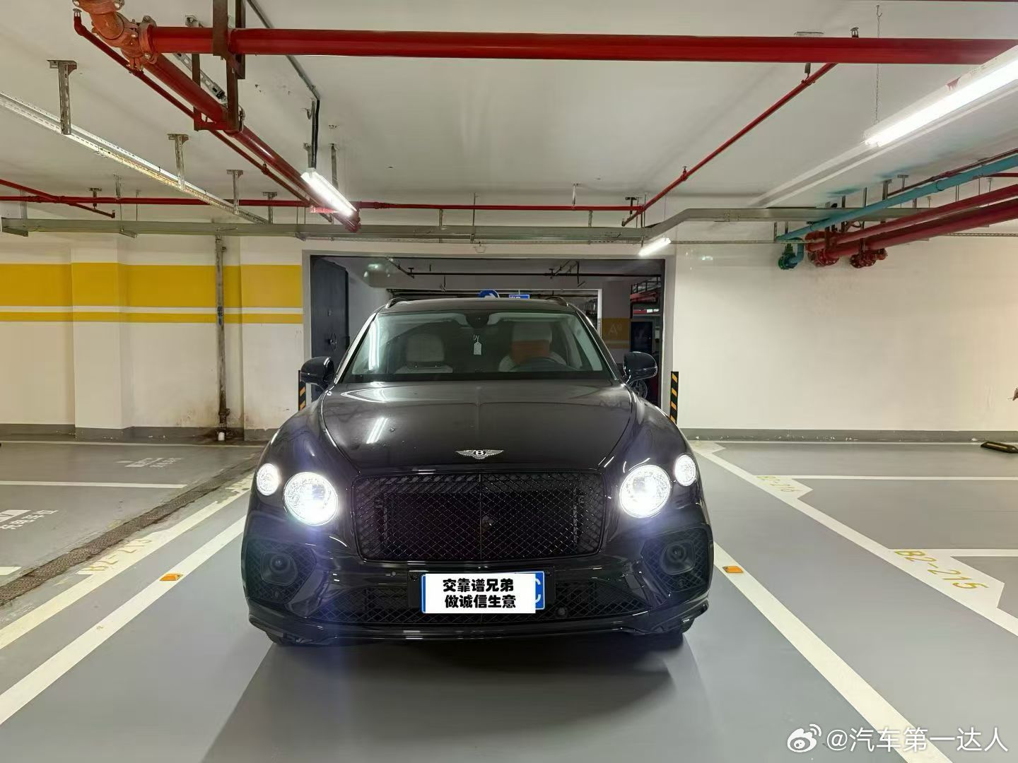 宾利添越 首发限量版，全车车衣 ，满配 ：Nami音响 抬显 雷测 夜视 旅行包