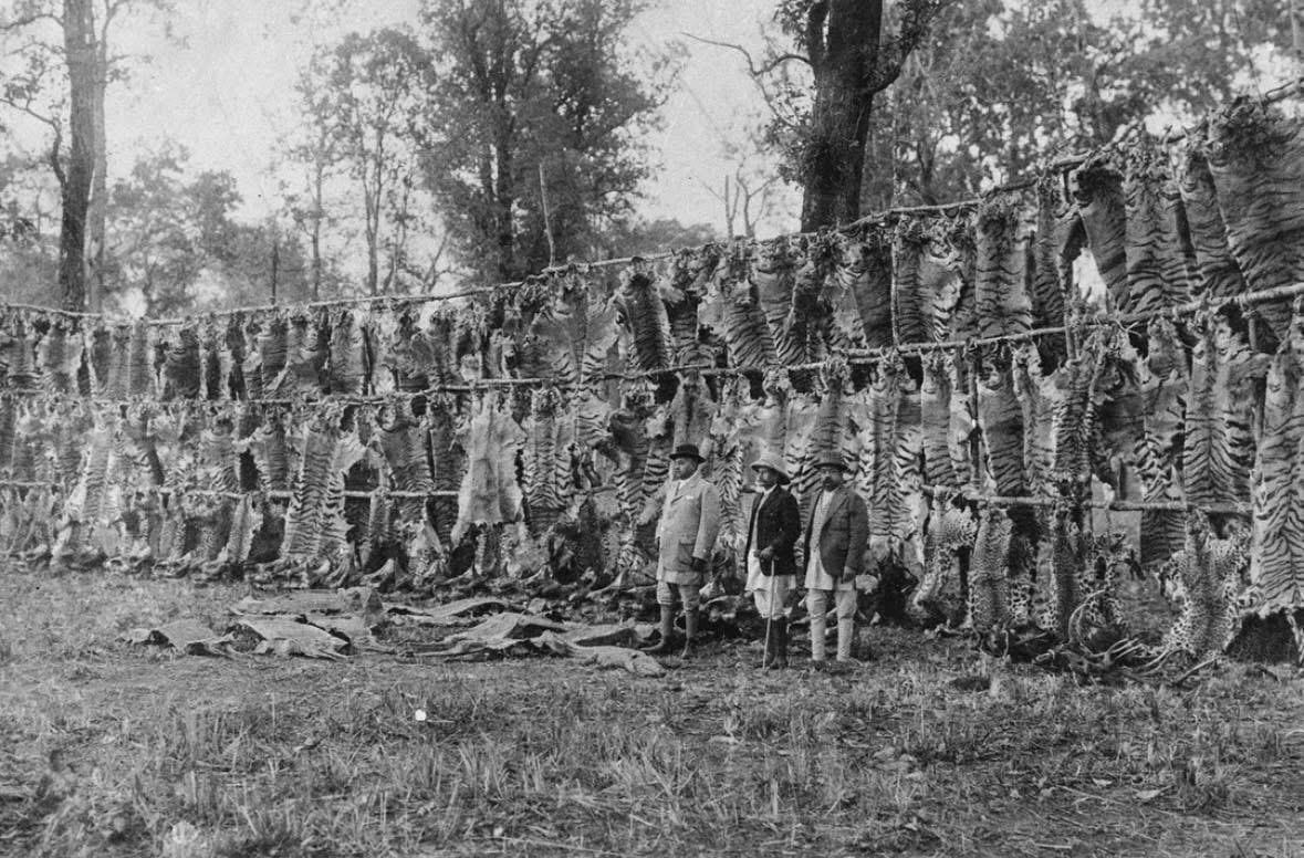 1911 年 12 月，英王乔治五世刚加冕为印度皇帝不久，便前往尼泊尔开启了一场