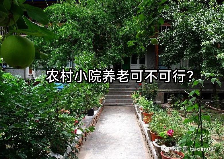 我老公说退休后一定要找一个农家小院养老。到时候自己住点花，种点菜，下午在院子里喝