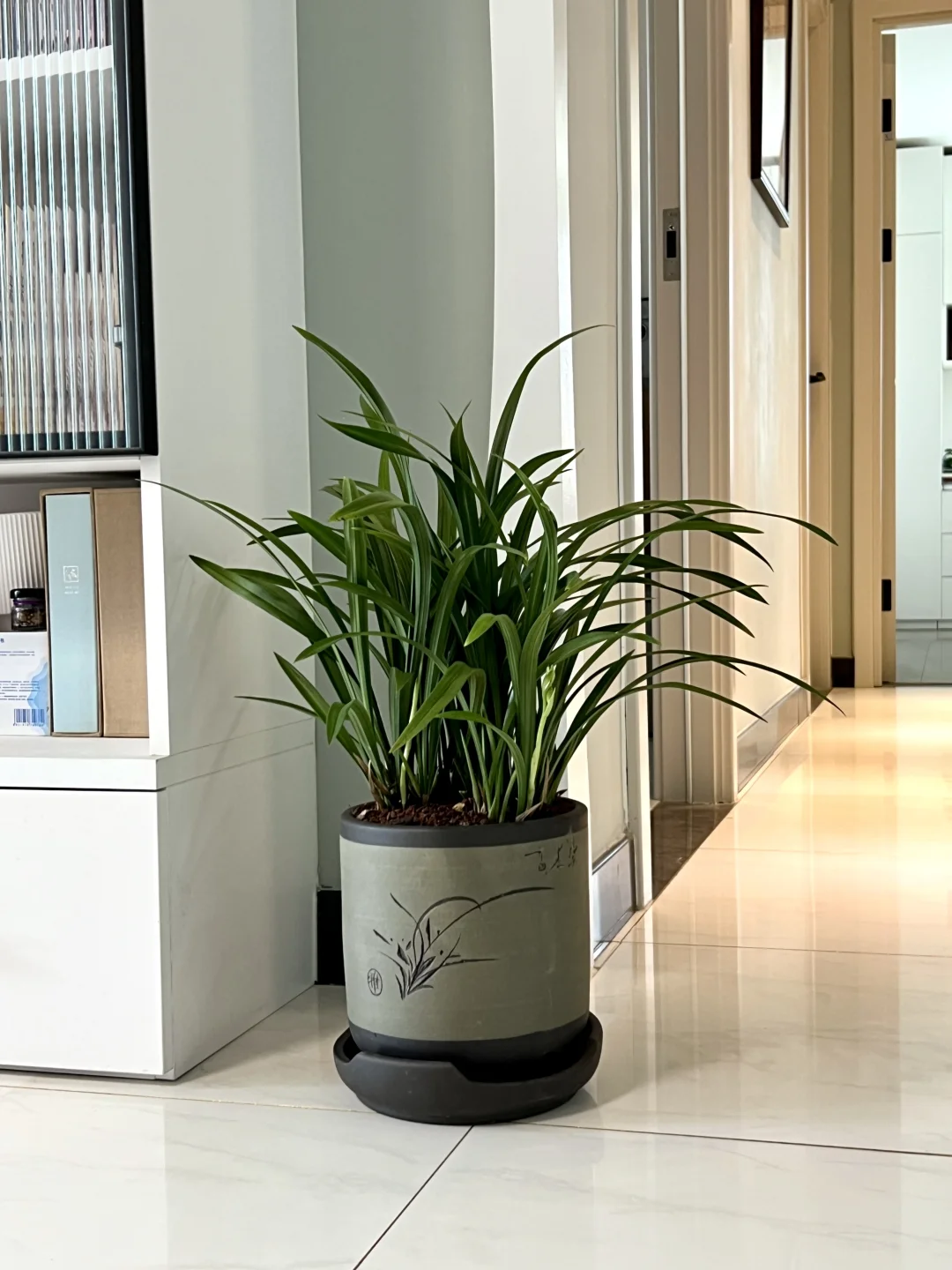 兰花给我上的的一课