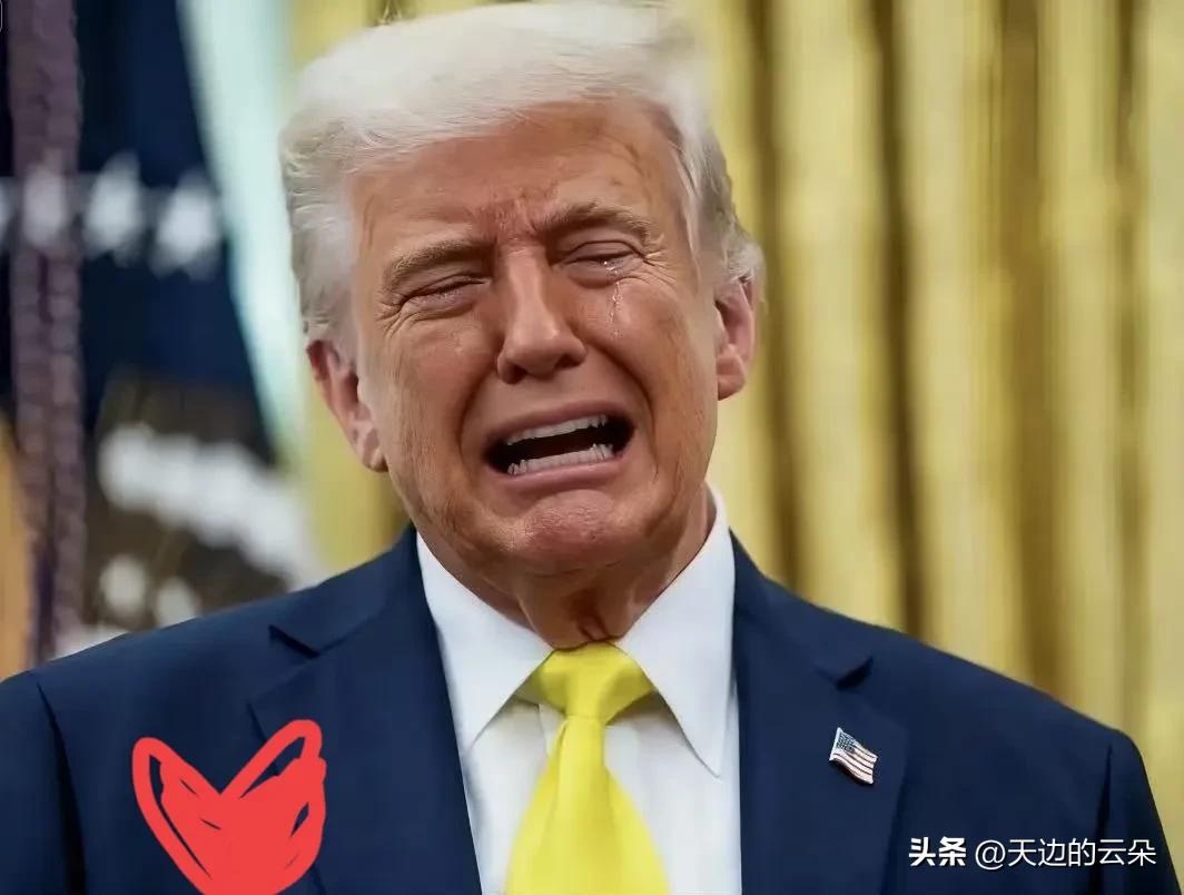就在刚刚，
美国正式宣布了！
2025年9月15日，美国总统特朗普向联邦上诉法院