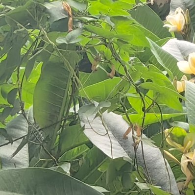 每日一善 善良如同阳光，无论多么微小的善行，都能照亮他人的生活，给予希望和温暖，