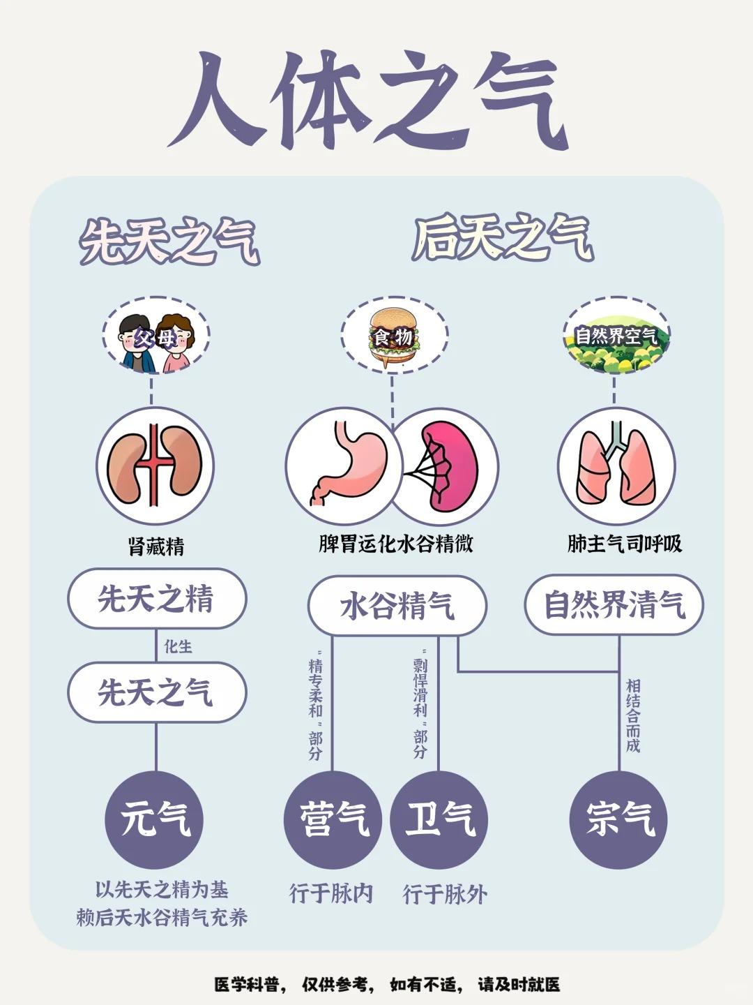 补气不是瞎吃，先分清元/营/卫/宗气💡