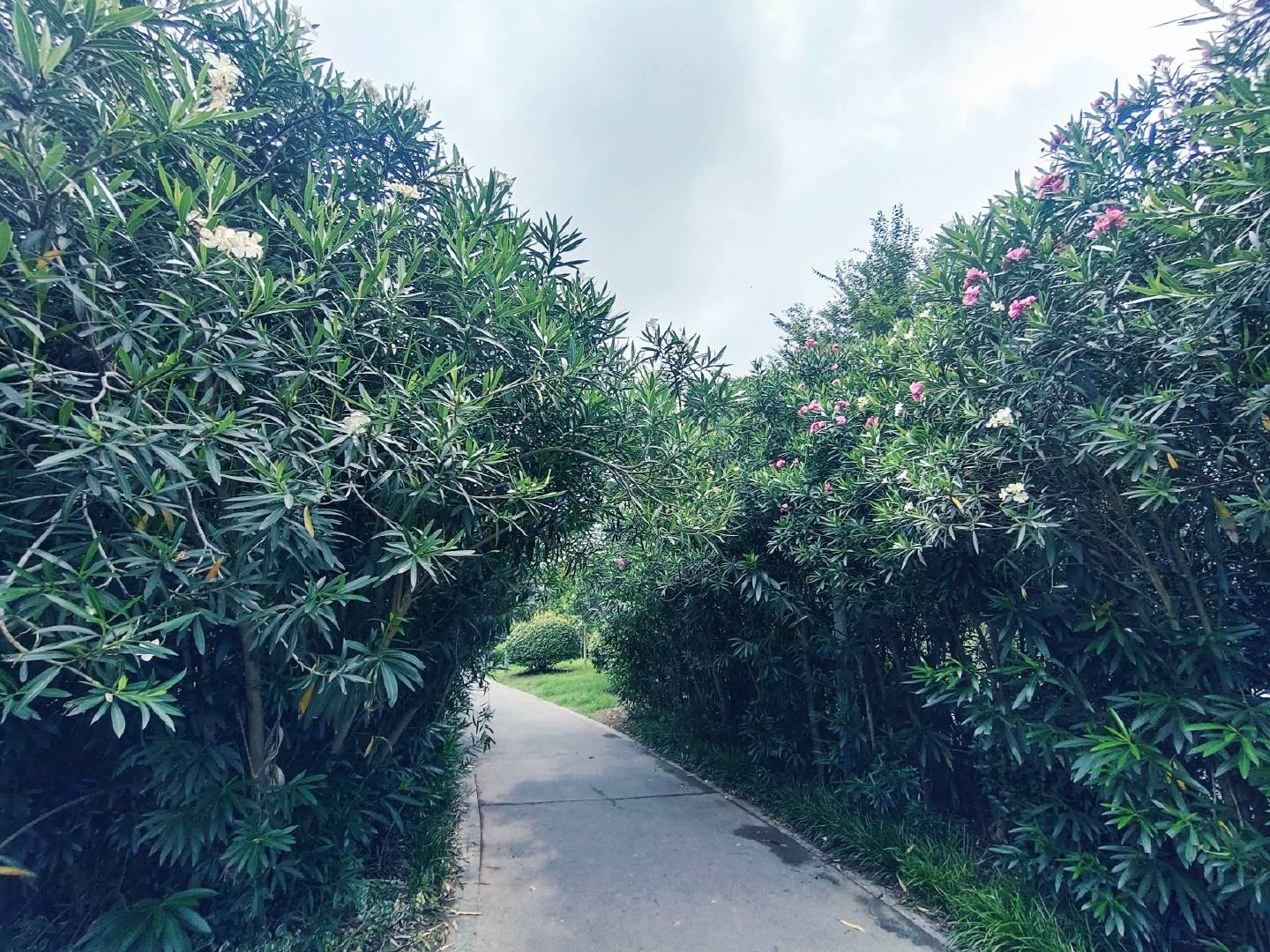 先拥有一点儿能自己面对生活的力气，再遇到一个共同前行的人；先变成想要的样子，再遇