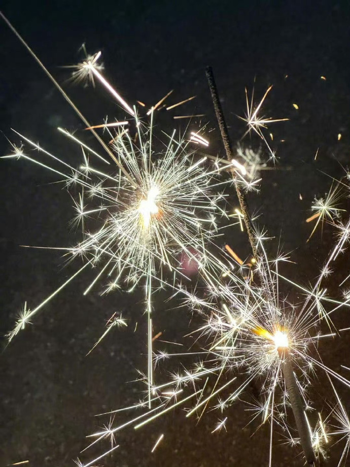 ♬ ˣ幸福的小小日子…!!!🥣 