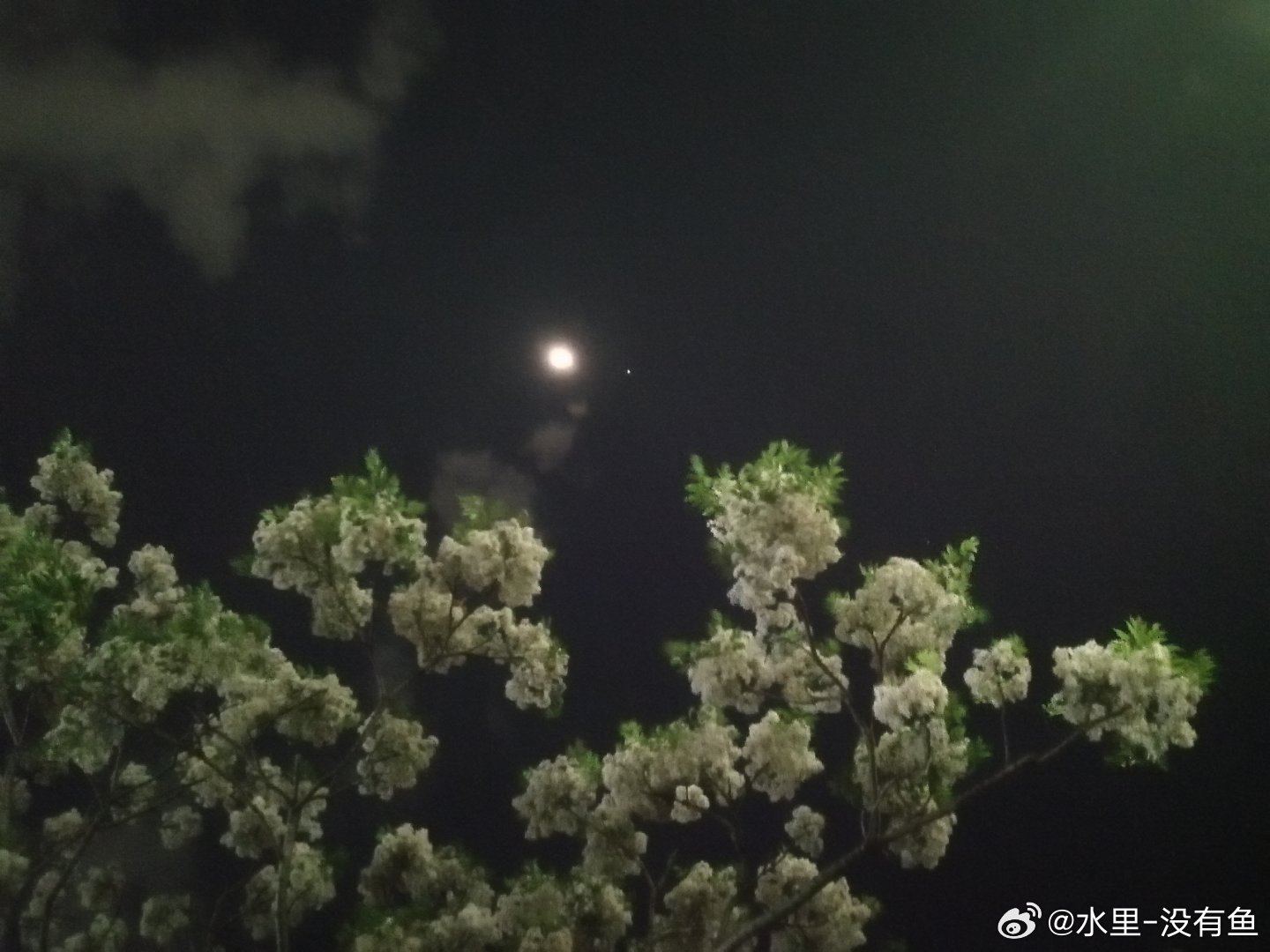 生活手记哇、哇、哇哦～真好看！可惜我的手机太差了，拍不出来 