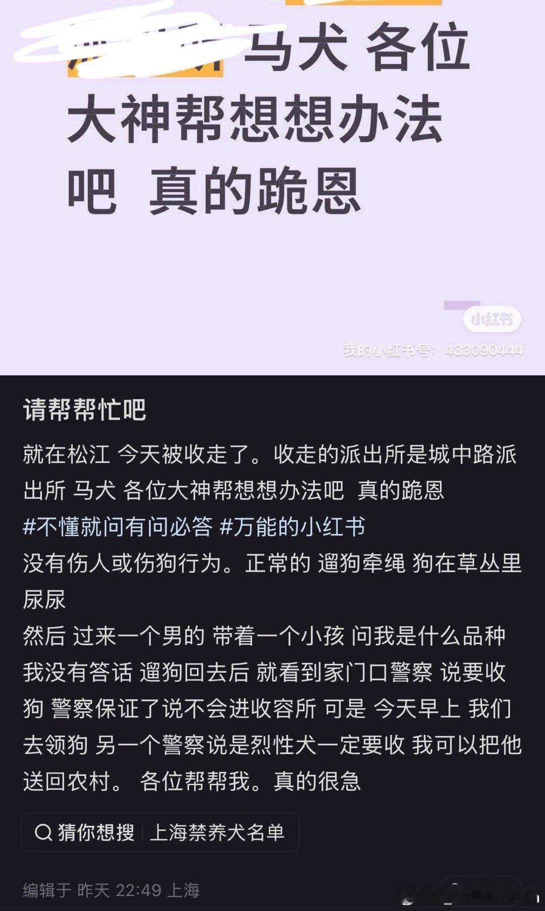 上海早就明令禁养烈性犬，可就是有人顶风饲养。被警察依法没收后，转头就在网上写小作