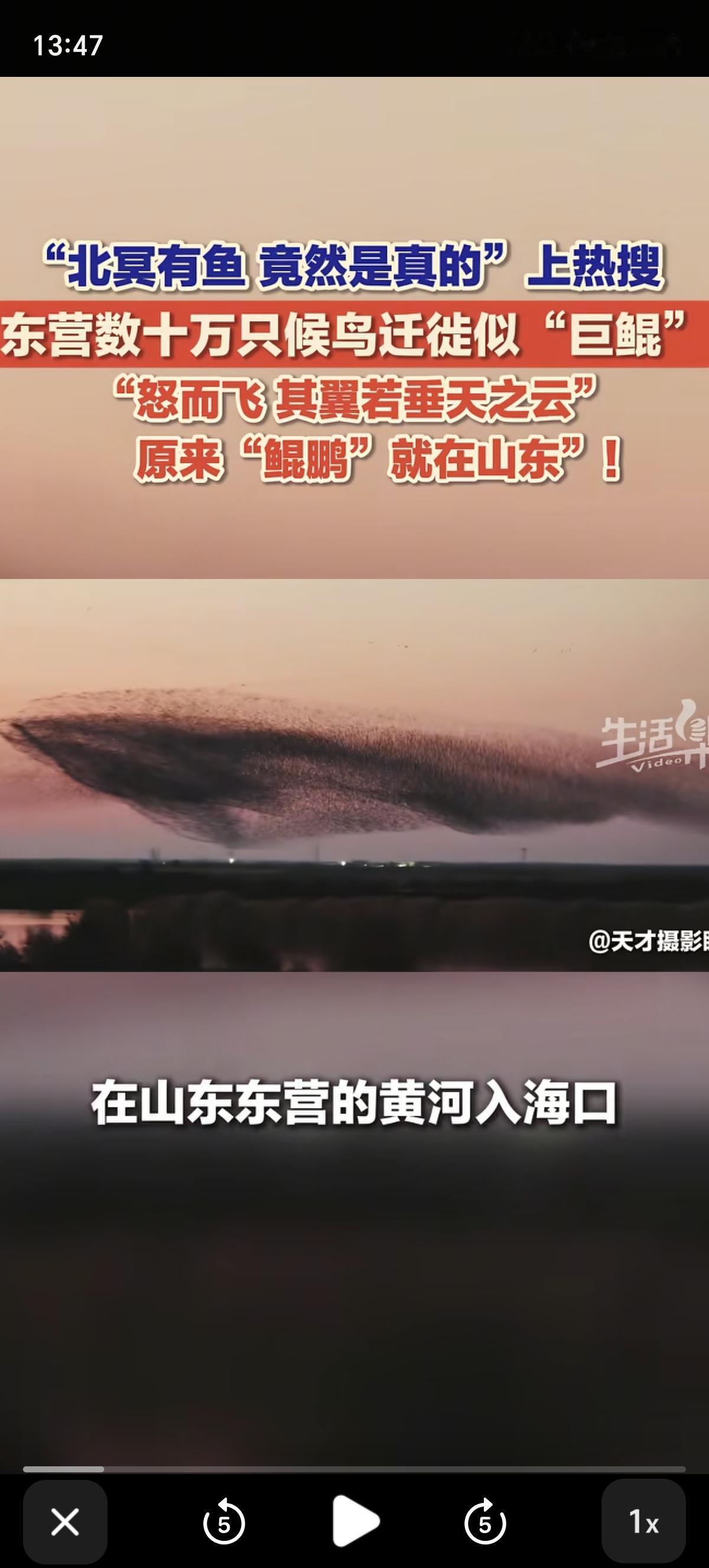 北冥有鱼，其名为鲲。鲲之大，不知其几千里也；化而为鸟，其名为鹏。鹏之背，不知其几