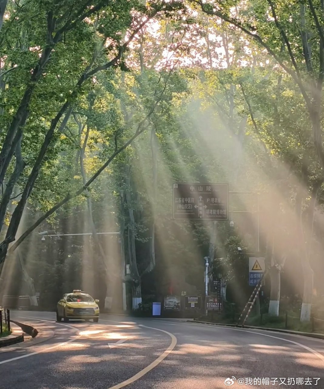 没点天赋真拍不出这照片一样的取景地点，别人随手一拍就是氛围感大片，自己按下快门却
