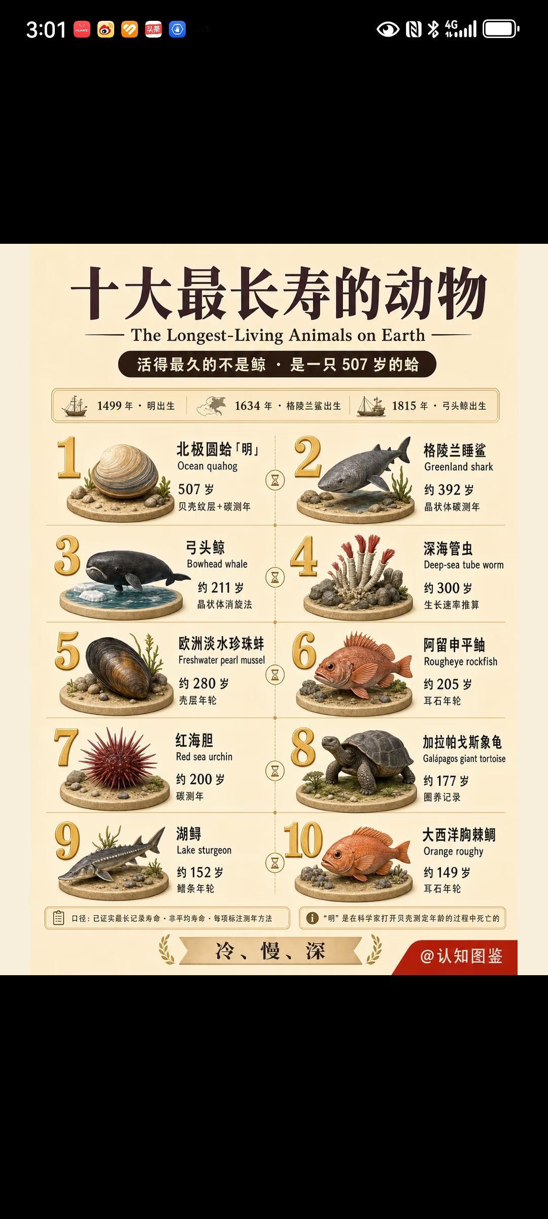 十大最长寿的动物
其实和浩渺的宇宙比较，这些所谓漫长的生命也不过是白驹过隙。