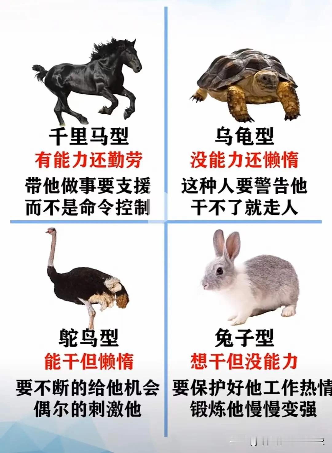 你在企业是属于哪种类型的员工？
#年终人才盘点# #人力资源管理#