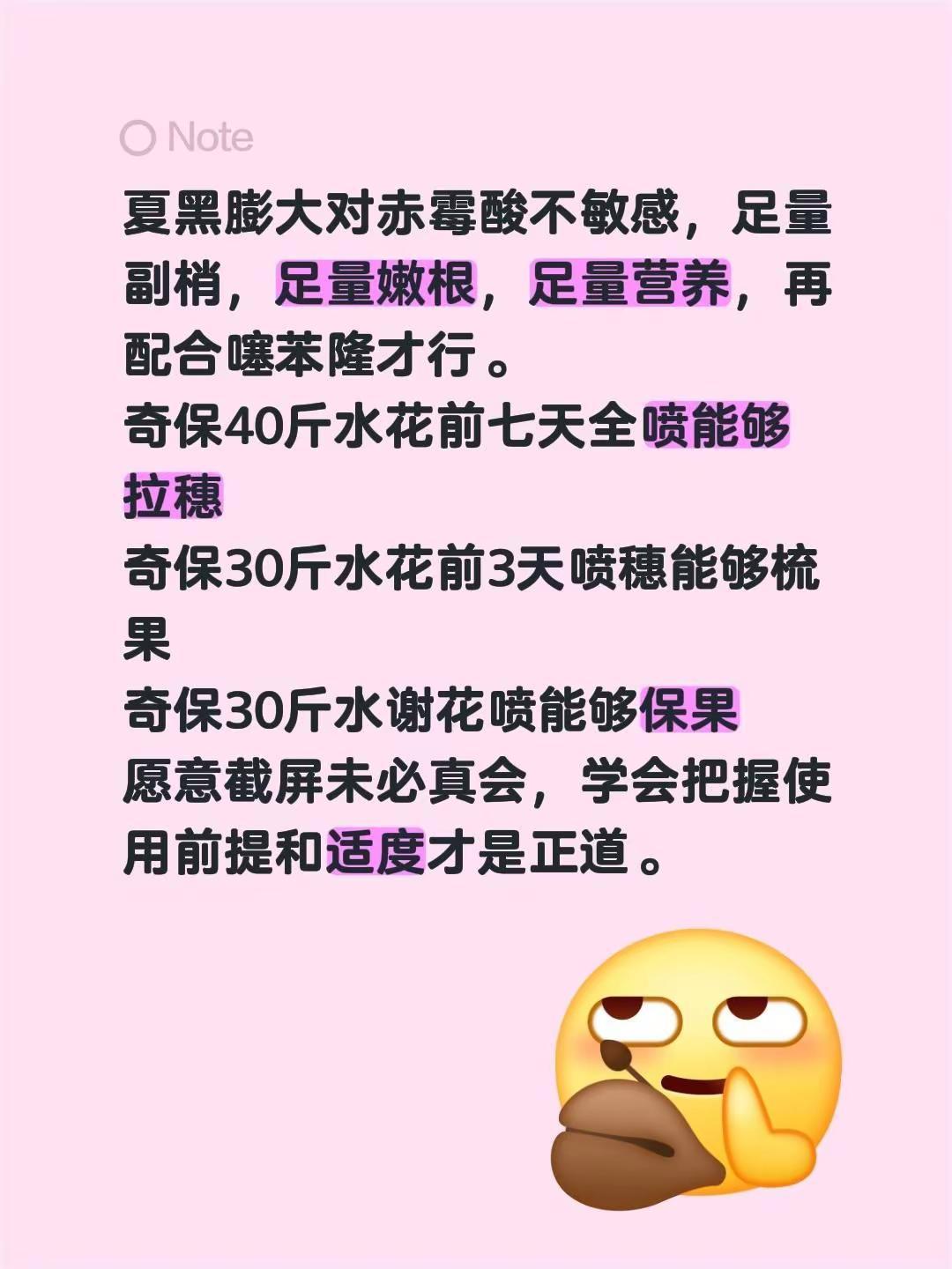 夏黑拉穗保果膨大。夏黑膨大对赤霉酸不敏感，足量副梢，足量嫩根，足量营养，再配合噻