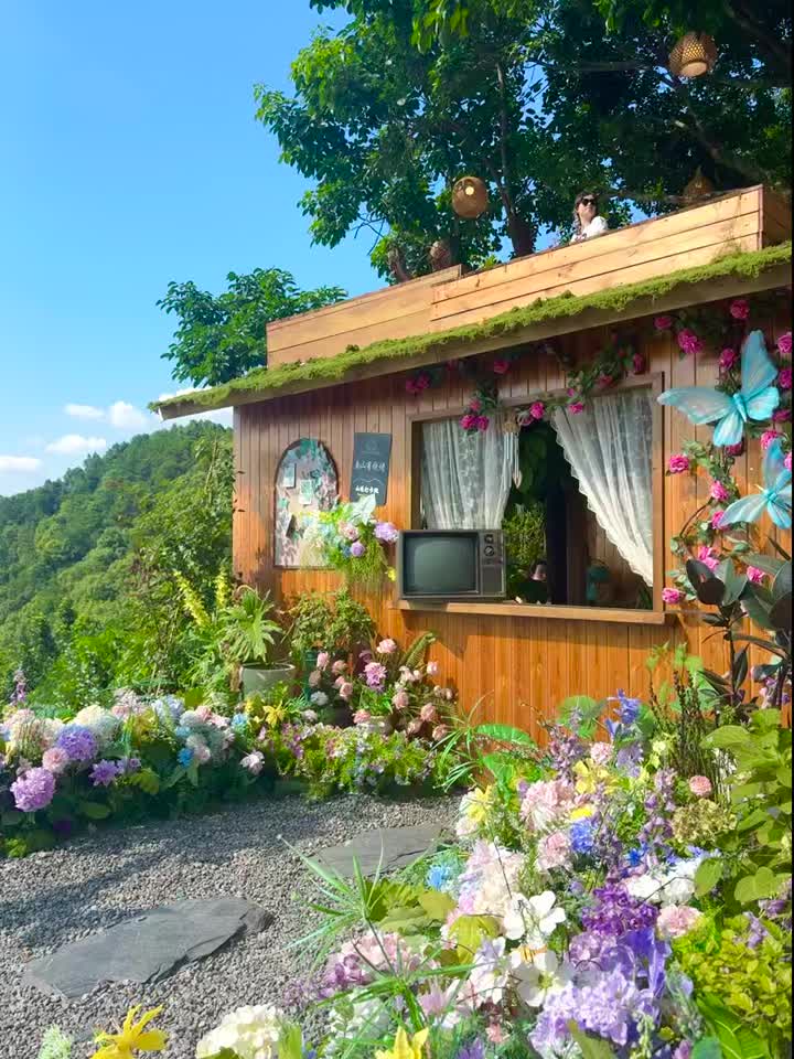 去有风的地方吧，那里可能花开浪漫