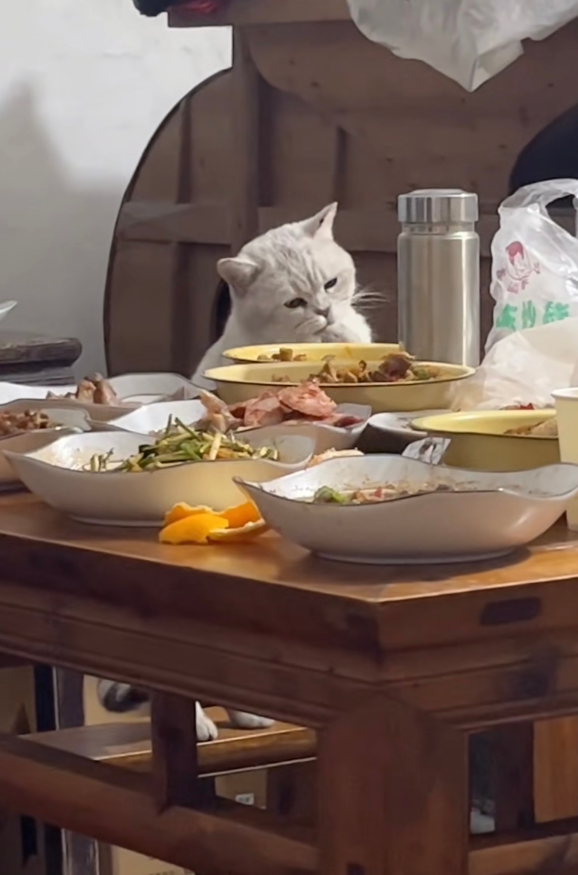 🐱：过年了捏 ​​​