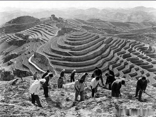 【如此用心，无耻至极！】在某度看到一个帖子，不禁拍案而起。"大寨，二十多年国家用