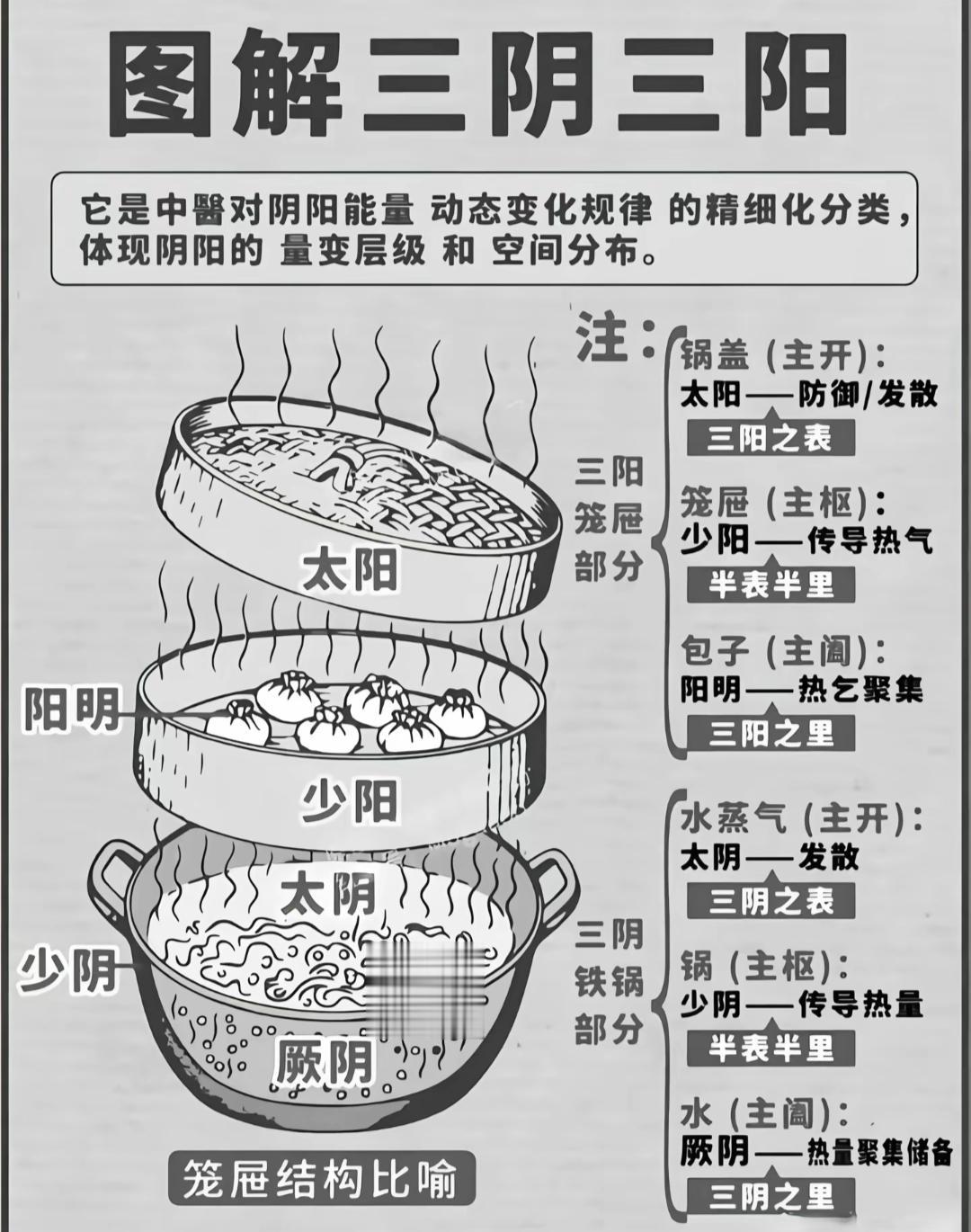 人体三阴三阳是怎么看的。养生小知识三阴三阳经
