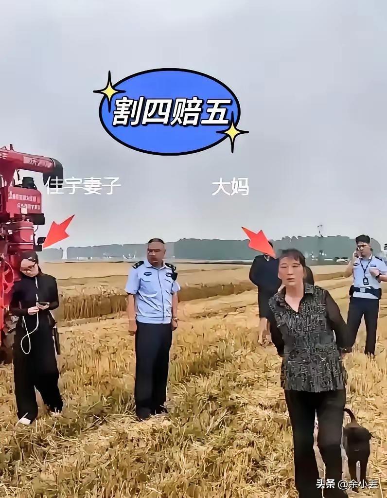 襄阳“割四赔五”：毁掉一座城口碑，往往只需要一件小事

河南05后小夫妻，抛下百