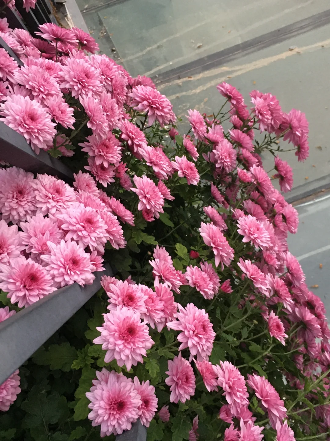 不必着急强大。