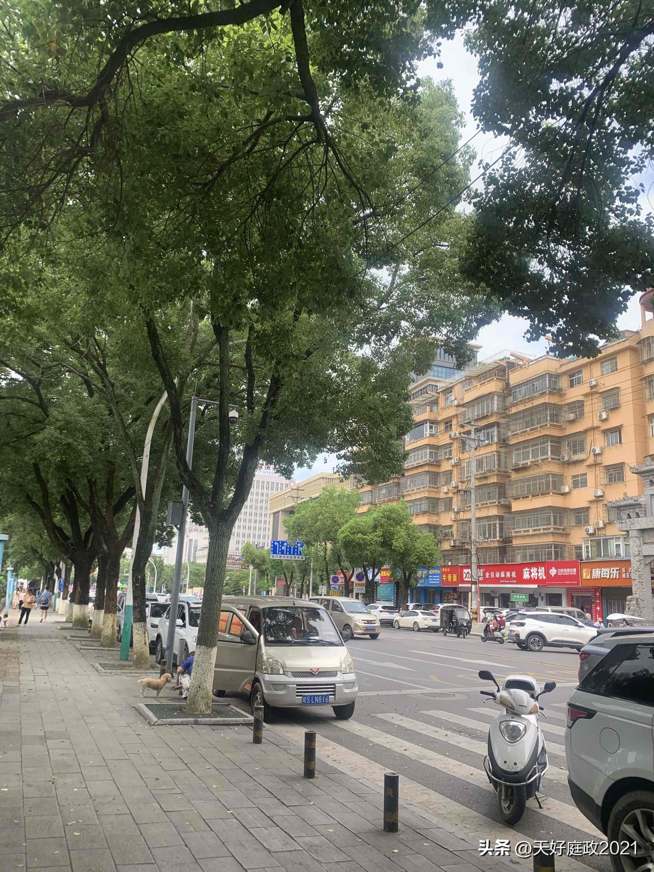 逻辑学能取代唯物辩证法吗

逻辑学并不能够取代唯物辩证法，二者属于完全不同层面的
