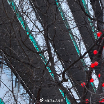 阳光信用 ✨好运连连，每日一善  ，熊猫守护者 ，『本人极好，仅茴ygxy[极好