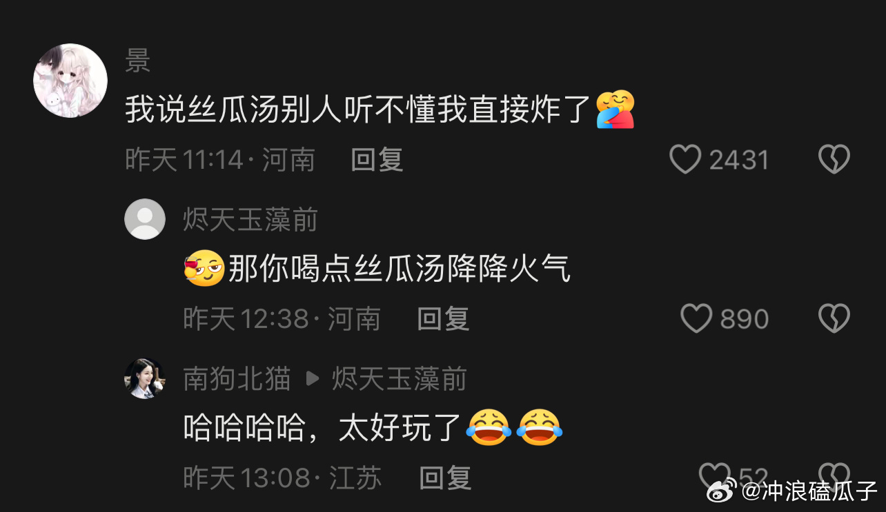 丝瓜汤的风还是吹到了外国一代人有一代人的梗！！我是跟不上了，听不到[允悲] ​​