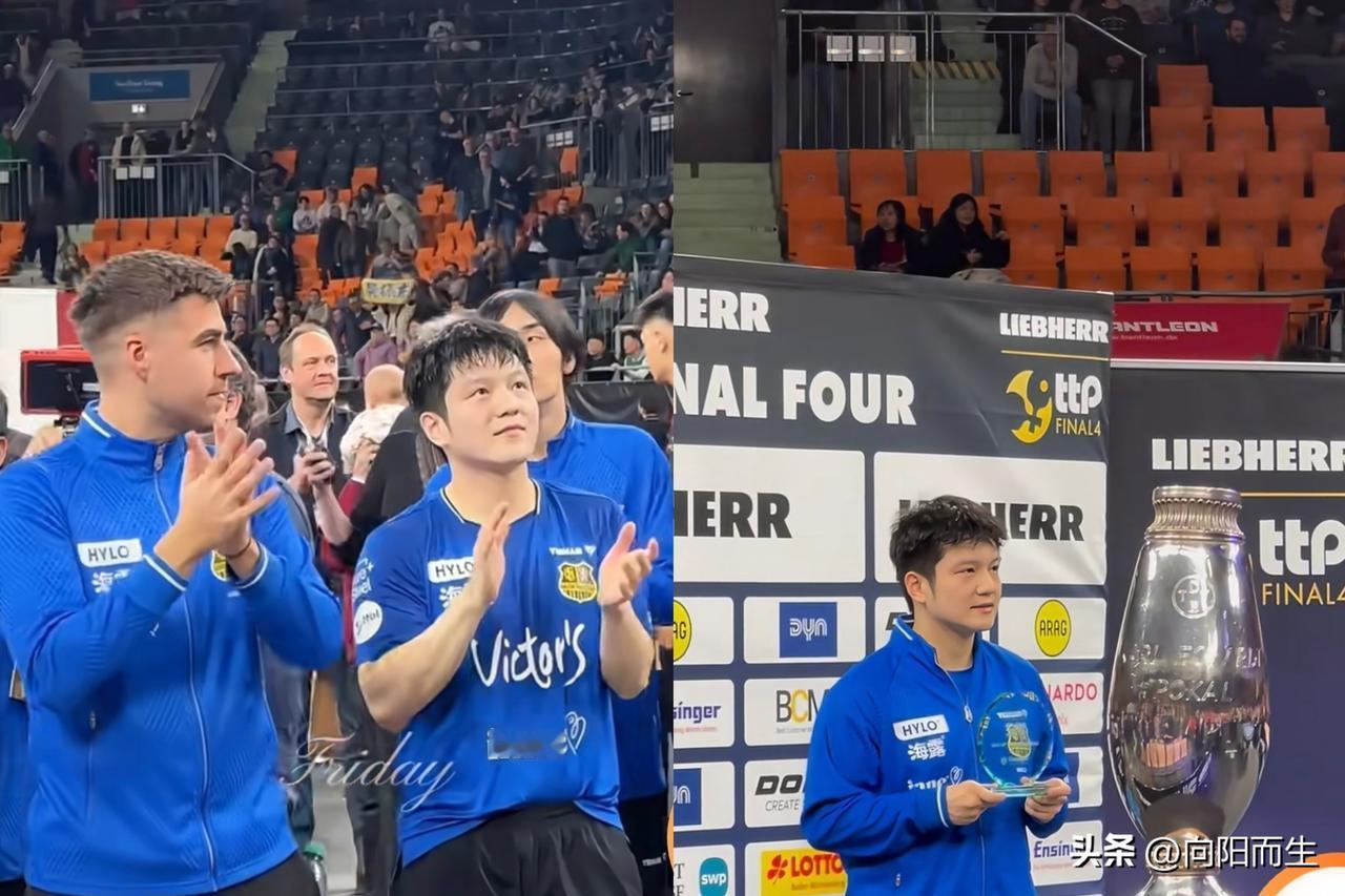 看了德国杯决赛那场面，
我是真服了樊振东这该死的魅力。

在那边简直就是被捧在手