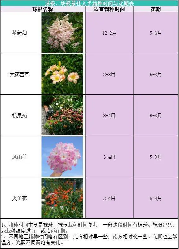 37种球根栽种时间表，一键收藏不错过花开。球根植物一般分为春季开花和夏...