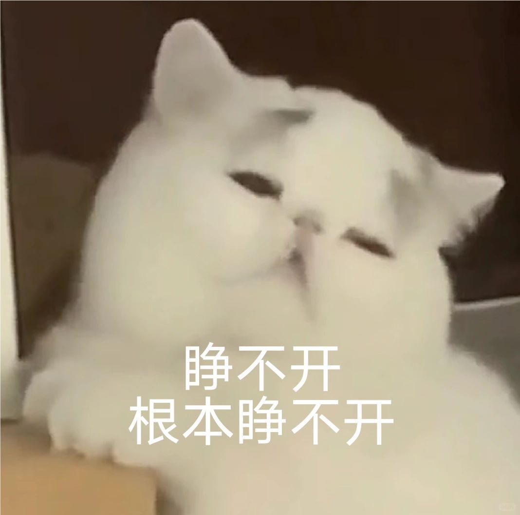 大家看揭幕战嘛，我感觉我挺不到那个点