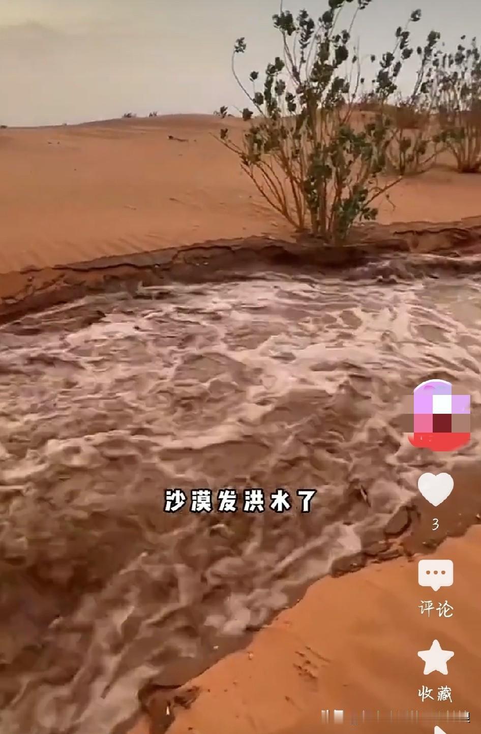 沙漠闹洪水！颠覆所有人认知
 
谁能想到，号称死亡之海的塔克拉玛干沙漠边缘，居然