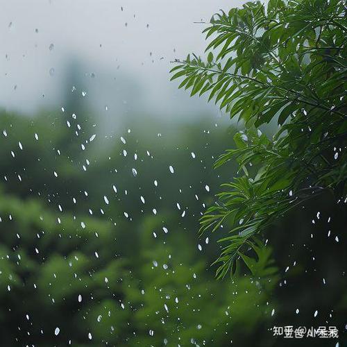 我撰写下联：
       雨落春夏秋冬