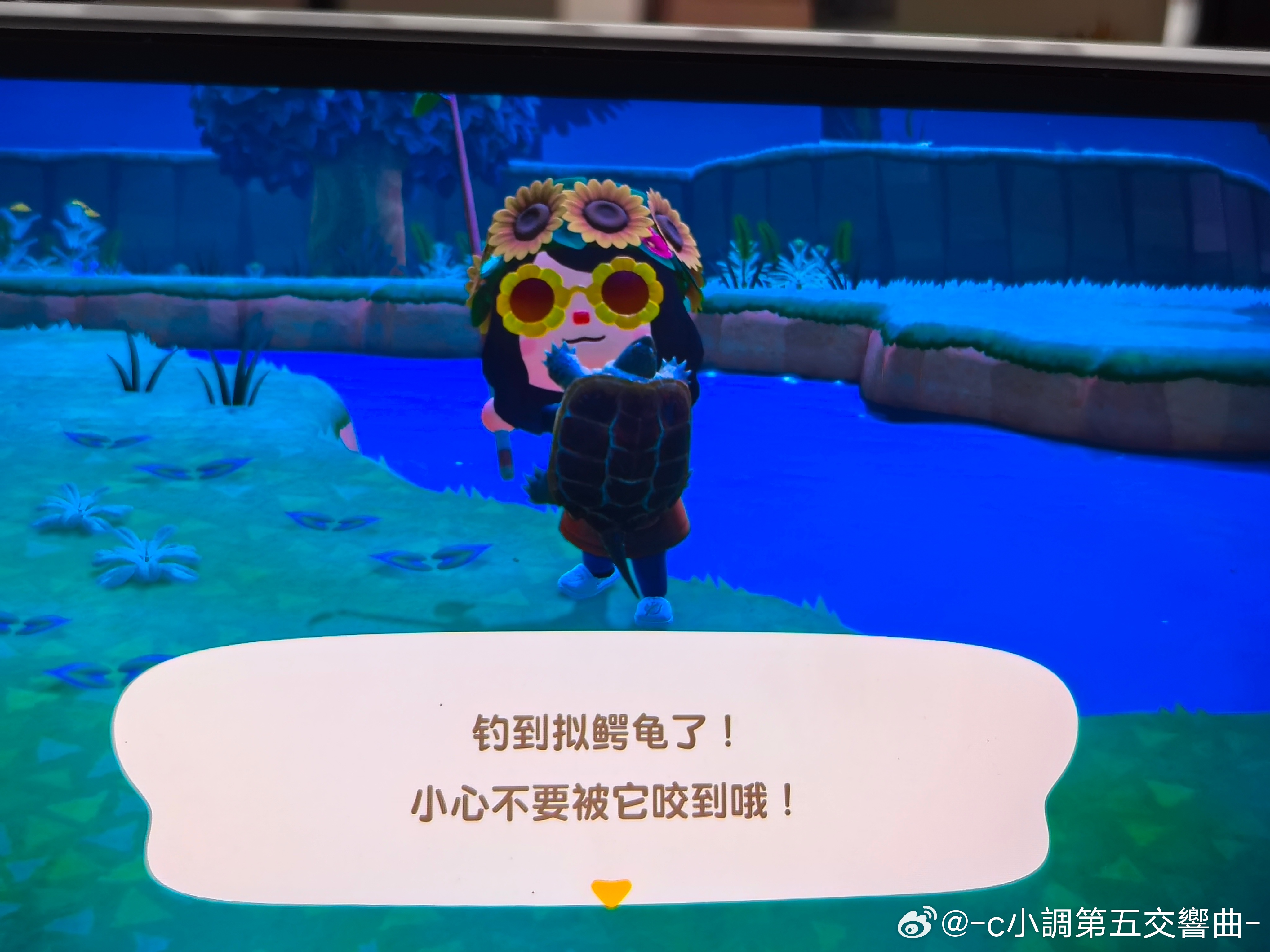 昨天和ymm见面他一直在跟我炫耀他的大王八，哼跟谁没有似的