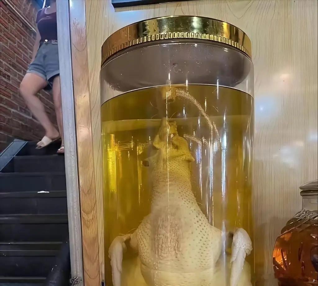 一个敢泡，一个敢喝，真是太牛了 