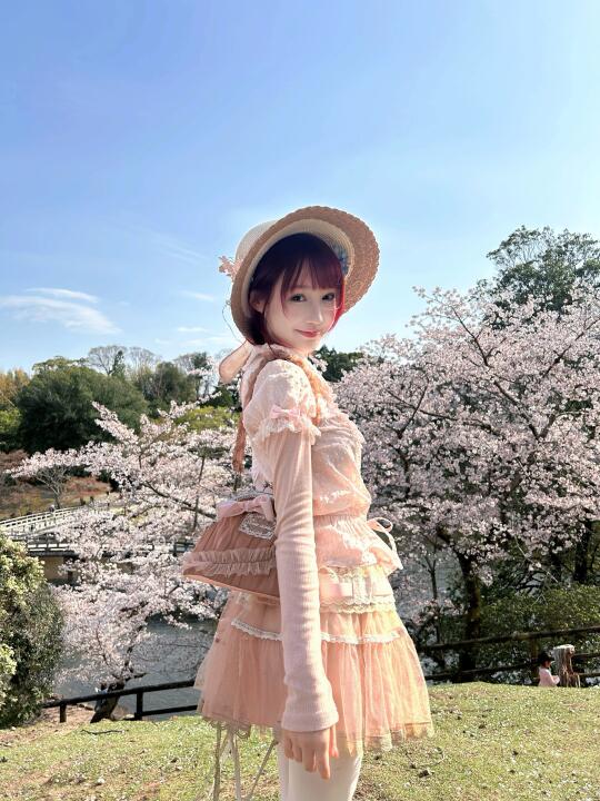没有做樱花难民