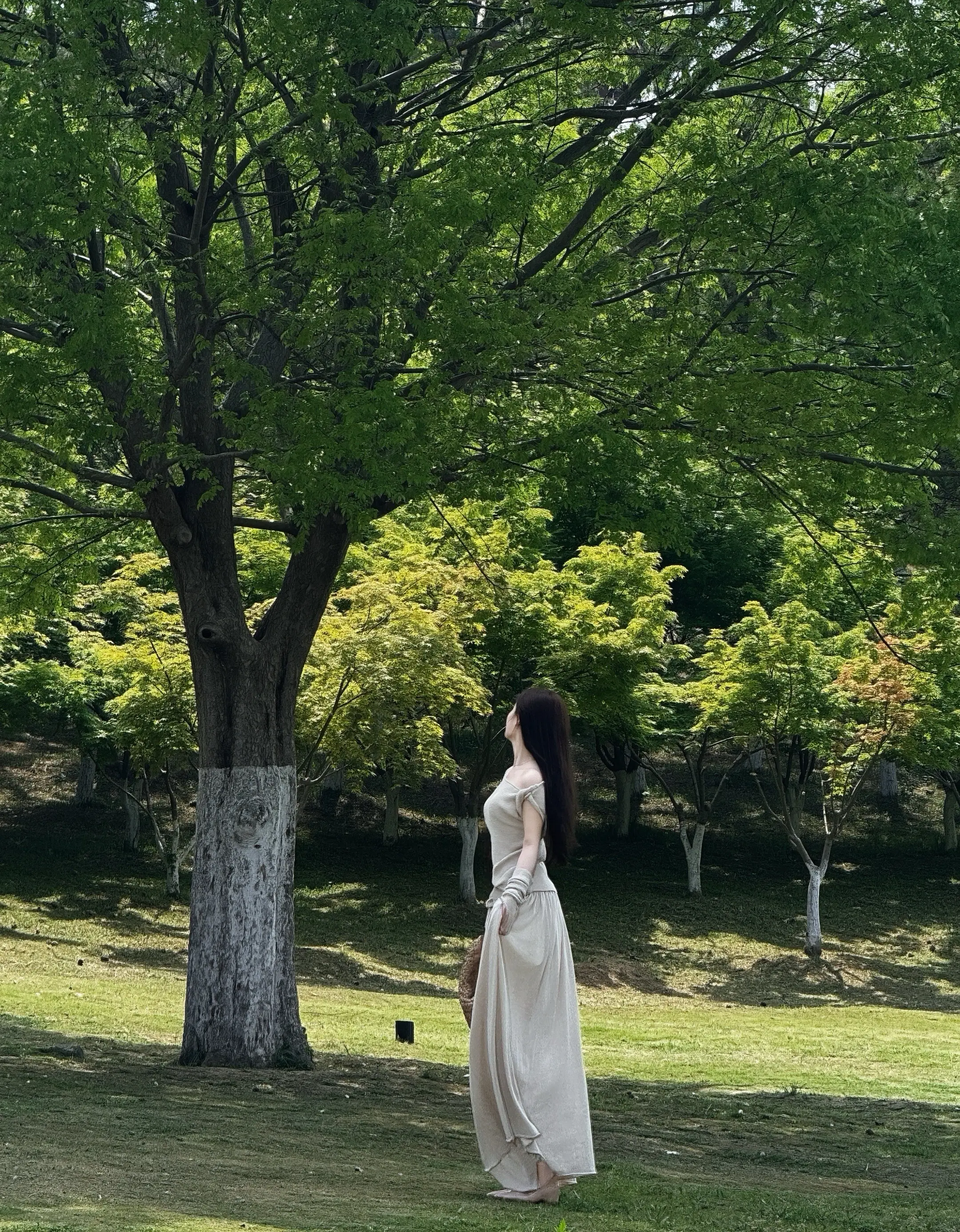 充满鲜花的世界到底在哪里。