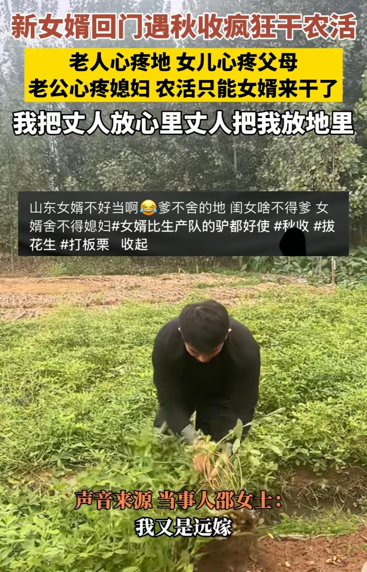 有心了！山东临沂，女婿头次去老丈人家，正好赶上秋收，结果又是在屋拖地做饭，又是下