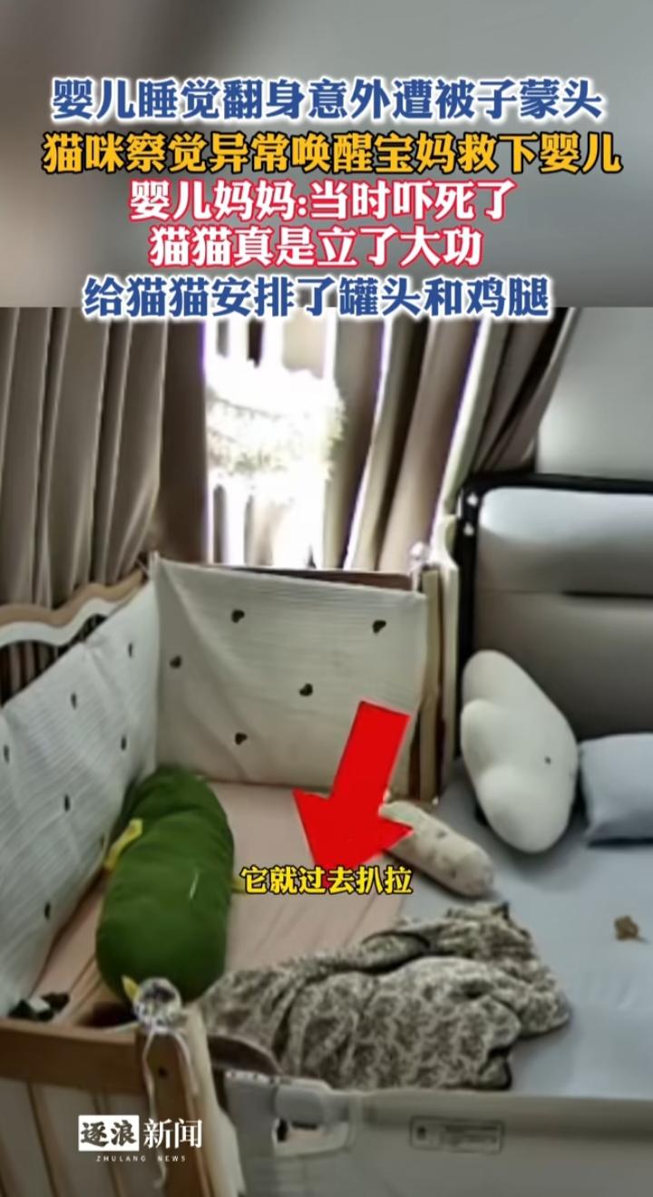 婴儿蒙头遇险猫咪叫醒宝妈：萌宠是意外惊喜，宝宝睡眠安全不能靠运气
 
这一幕看得