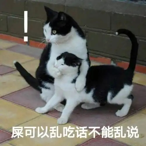 不管是车圈还是数码圈，真的不能乱说话啊