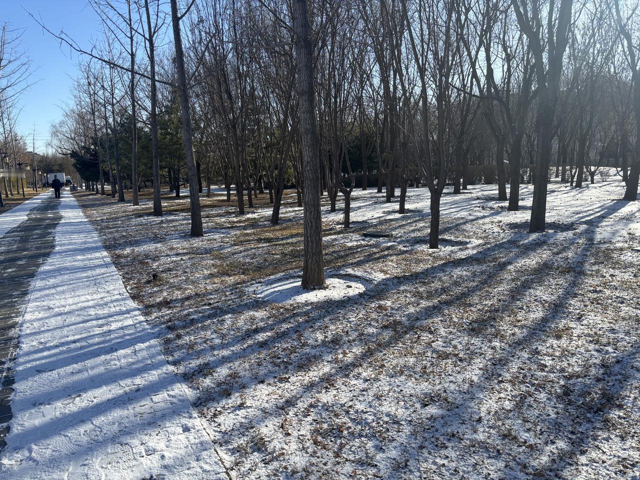 晒晒你拍的雪景夜里突如其来的一场小雪，连气象台都没预测到，早上起来发现大地被一层
