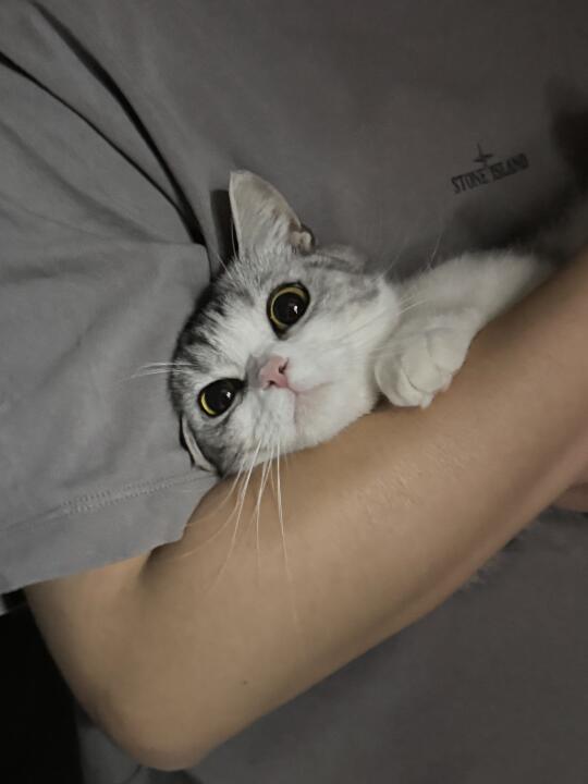 这和自己生的有什么区别啊