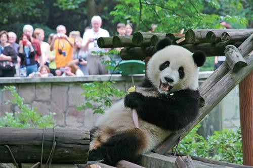 🐼重庆动物园六一放大招！14岁以下娃免费耍3天
 
重庆宝爸宝妈速看！今年六一