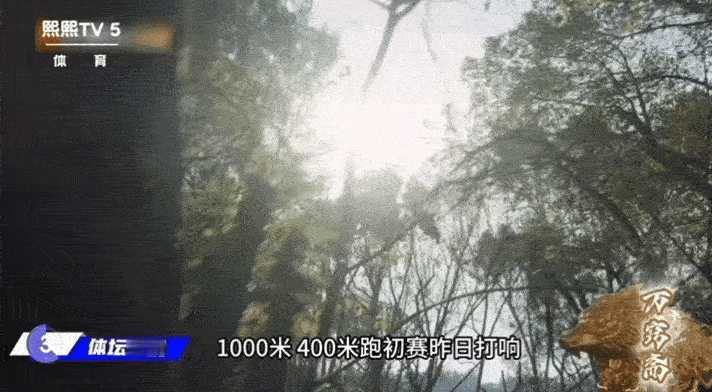 暗器精准撞上射击赛场，屏息凝神锁定目标，指尖发力直击红心，将侠客专注力化作赛场竞