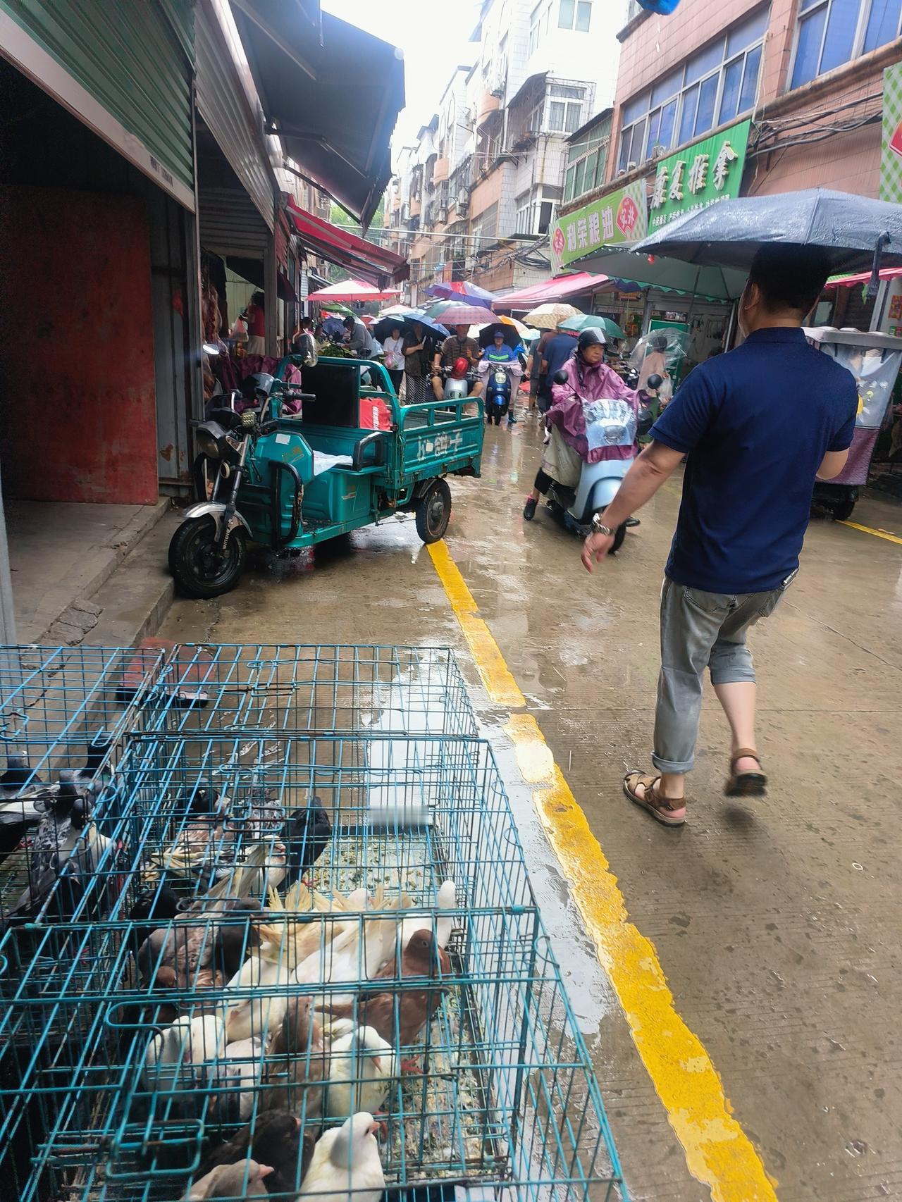 一早雨下个不停，虽然下雨，饭还是要吃，一早坐车到田家庵，七点多的田家庵人真不少，