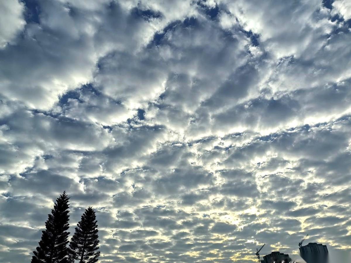 刚把厚衣服塞回衣柜，以为春天终于能好好当个人了。
结果，呵呵。
一个回马枪。
说