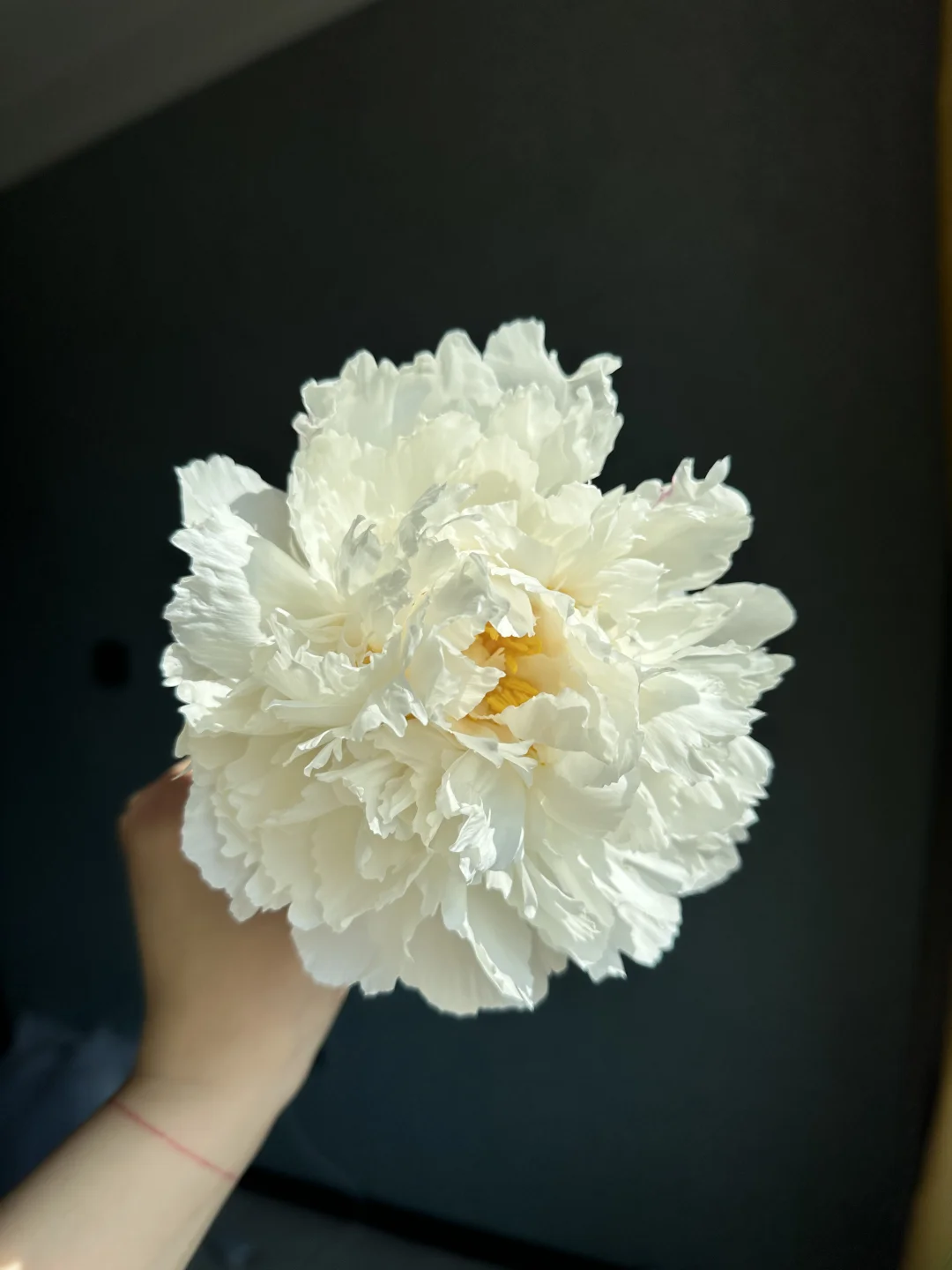 芍药