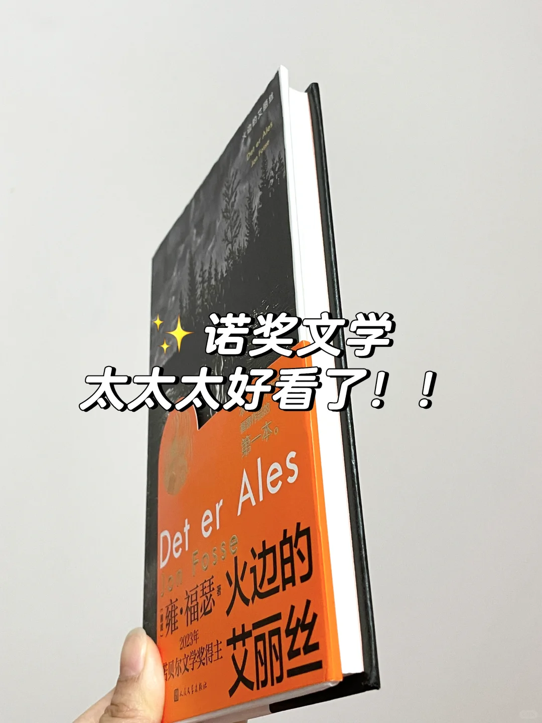 几乎震撼着读完的一本小书！太太太好看了！！