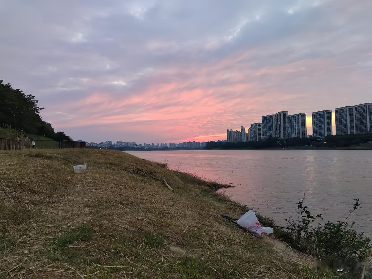 无心插柳的经典乌龙
小时候
我爸从别人家抱回一只小狗
因为狗毛是黄色的
而且还毛