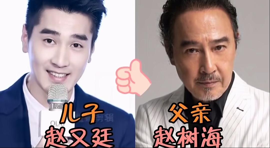演艺圈里不乏青出于蓝的明星父子档，盘点12位热度远超父辈的男明星，每一对都藏着基