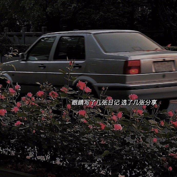 🤍⋆ 𝙁𝙞𝙡𝙢 𝙡𝙞𝙛𝙚 ✩ 𓂂“生活本就是值得记录的一部电