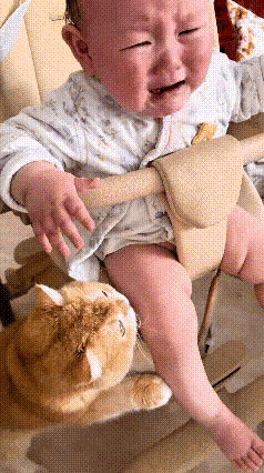 萌化了！大橘猫变身“金牌小保姆”，小宝宝一哭它就伸爪爪，一摸就不哭，一挪开又哇哇