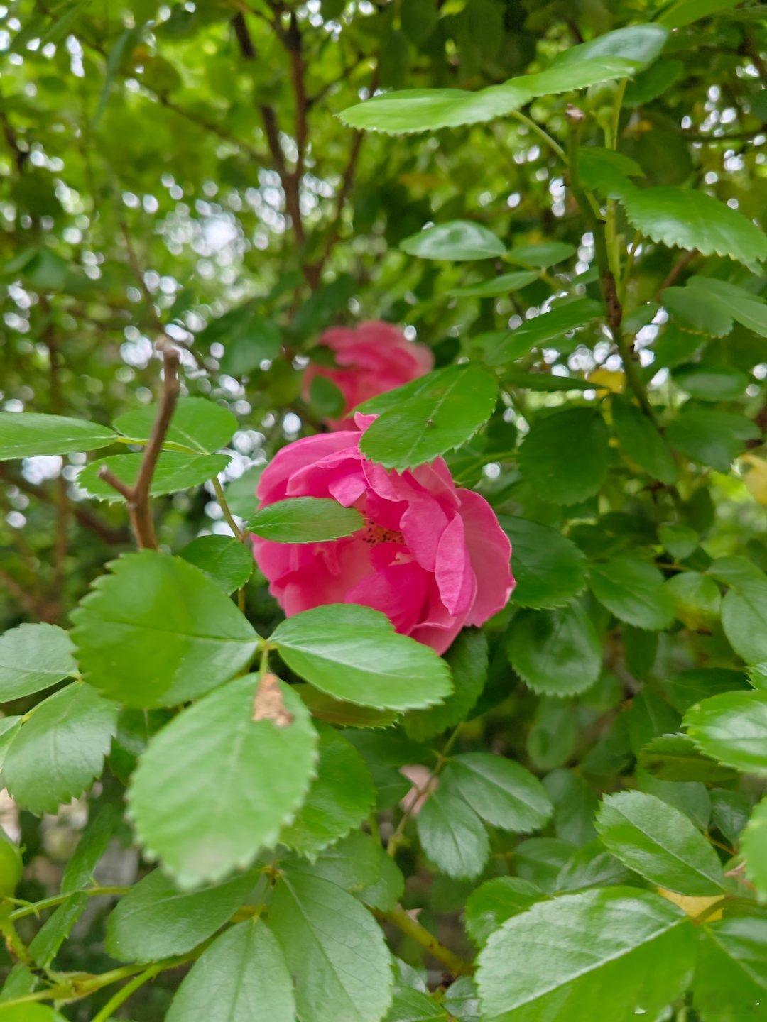 浙北北汤村五一办旅游节五一去哪里？，4月29日至5月6日长兴北汤景区推出系列活动